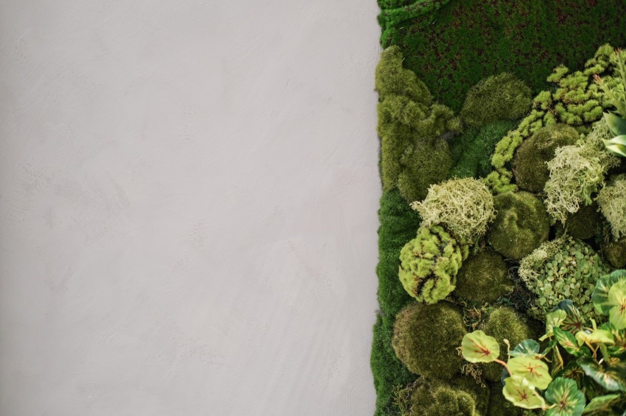Close-up of grey limewash texture next to a moss wall