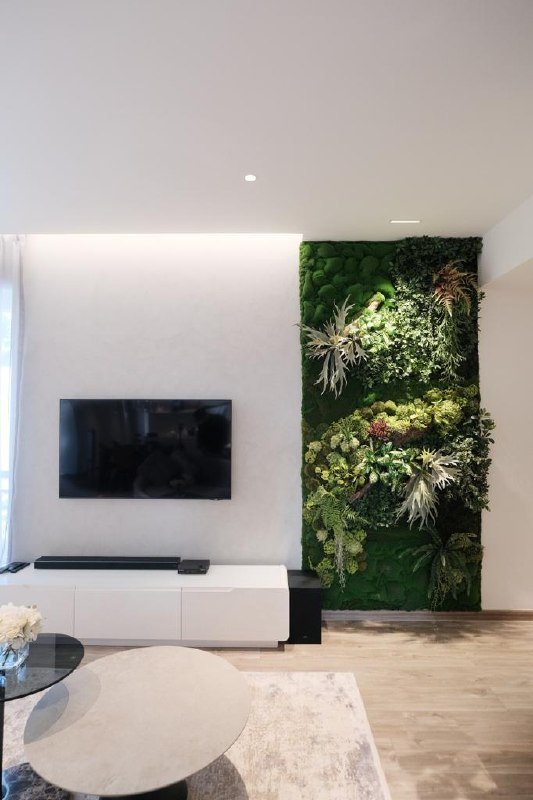 Limewash TV feature wall beside a moss wall in a living room
